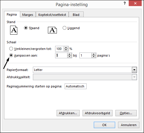 gemakkelijk Gehakt reparatie Hoe kan ik in excel een A4-formaat afdrukken? Volg onze instellingen.